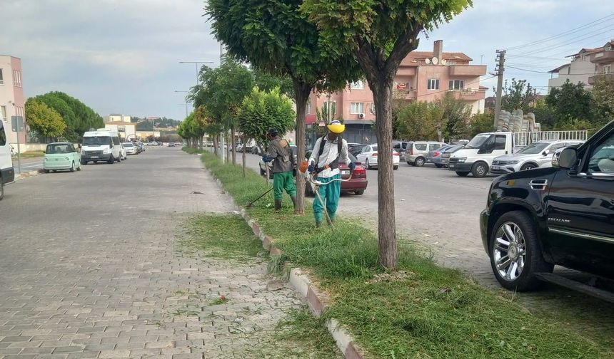 Bigadiç’te Çevre Mesaisi Sürüyor: Ekipler İlçenin Dört Bir Yanında Sahada!