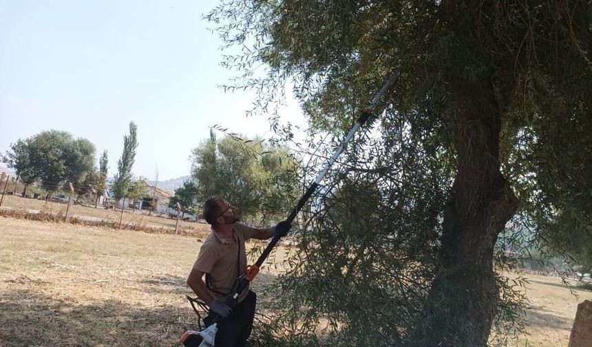 Bigadiç Işıklar Mahallesi'nde Kapsamlı Çevre Düzenleme ve Temizlik Seferberliği!