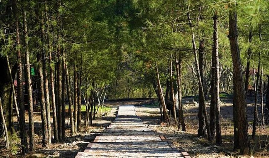 Balıkesir'e daha çok nefes lazım!