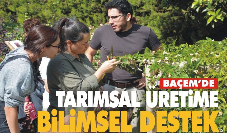 BAÇEM’in Bitki Doku Kültürü Kursu’na Ülke Çapında Yoğun İlgi