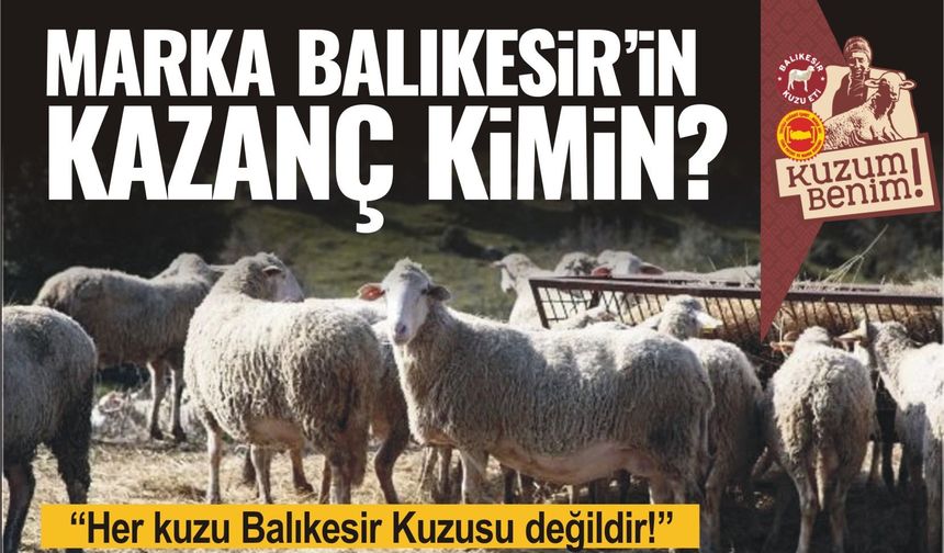 Her kuzu Balıkesir kuzusu değildir!