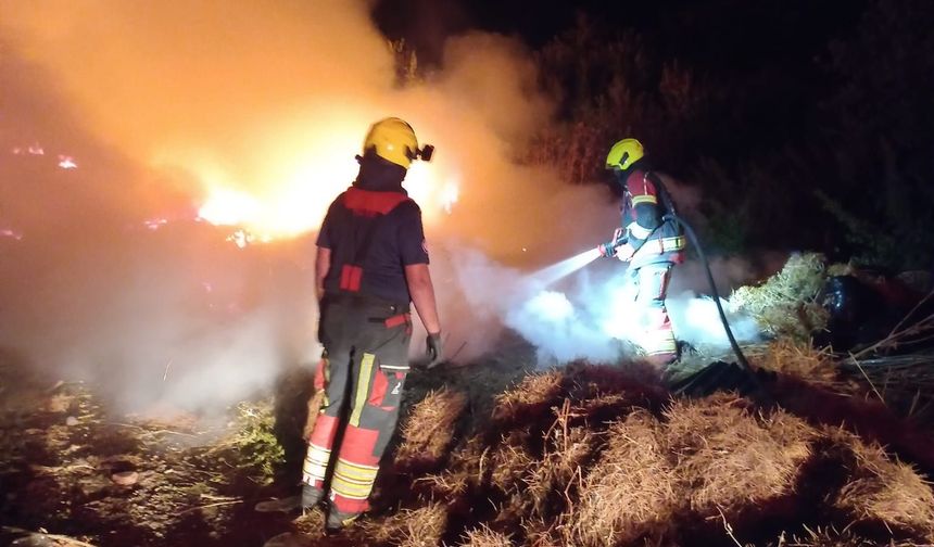 Ayvalık'ta Yol Kenarından Alevler Yükseldi! İtfaiye Söndürdü