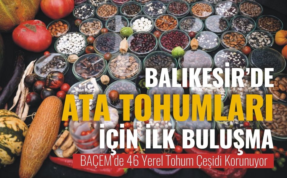 Balıkesir'de ata tohumları için ilk buluşma... BAÇEM’de 46 Yerel Tohum Çeşidi Korunuyor
