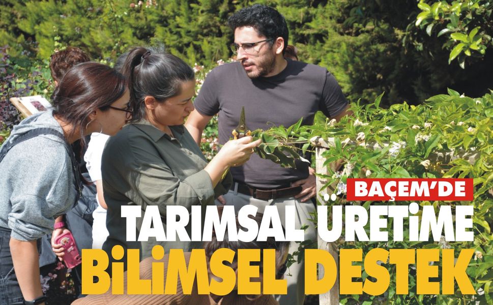 BAÇEM’in Bitki Doku Kültürü Kursu’na Ülke Çapında Yoğun İlgi