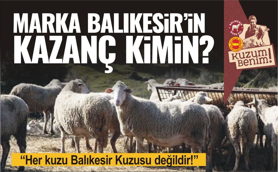 Her kuzu Balıkesir kuzusu değildir!