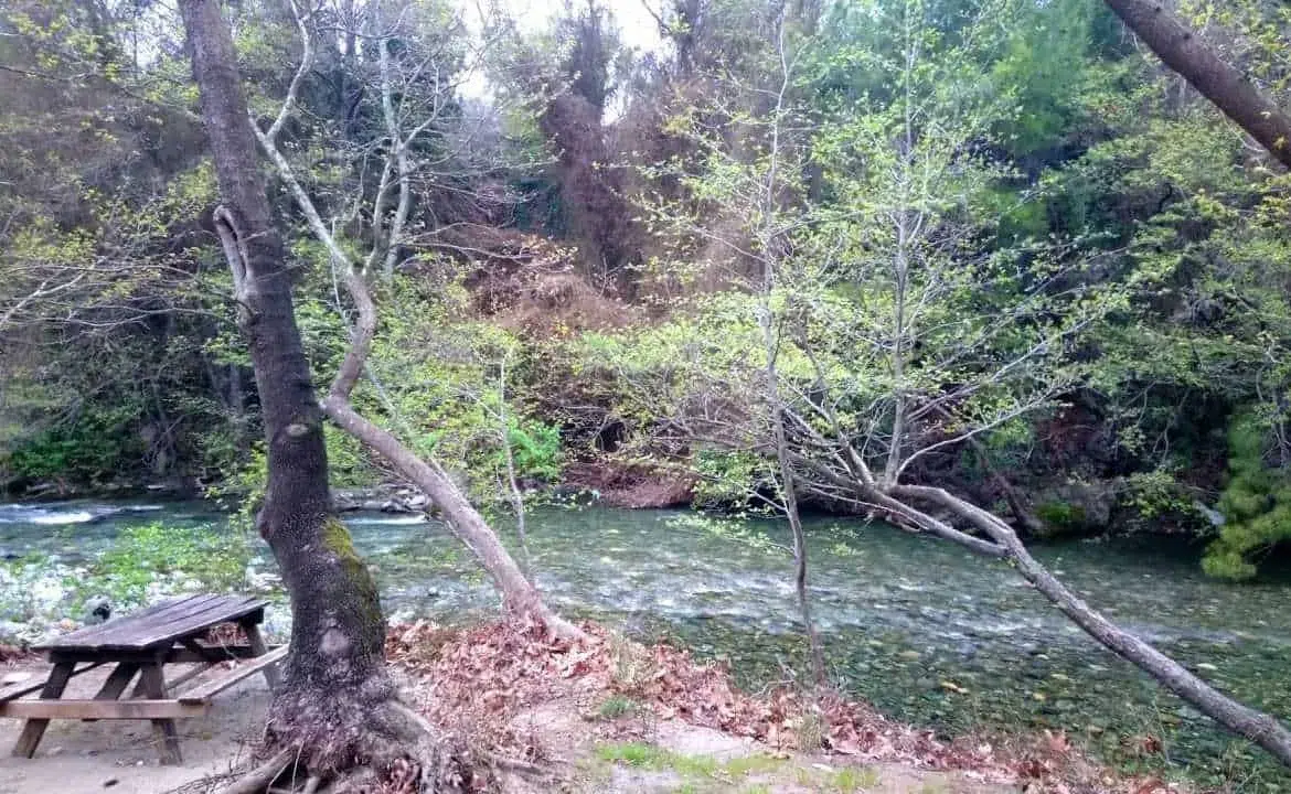 Balikesir Mehmetalan Koyu Kamp Alani2