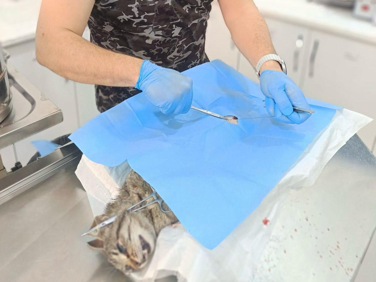 Buyuksehirin Hizli Mudahalesi Hayat Kurtardi 5