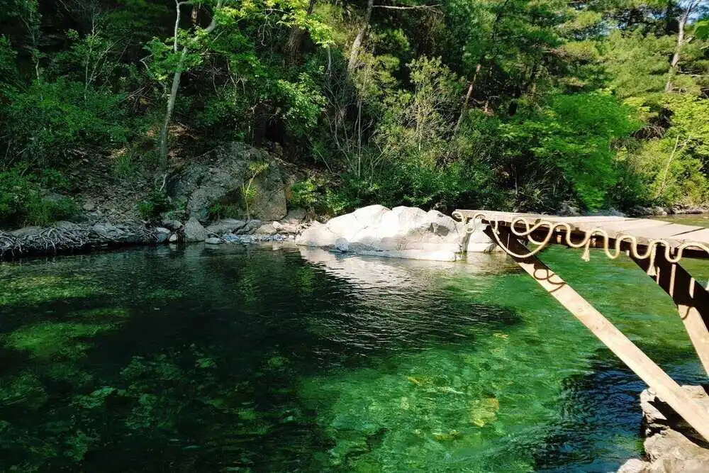 Mehmetalan Koyu (1)
