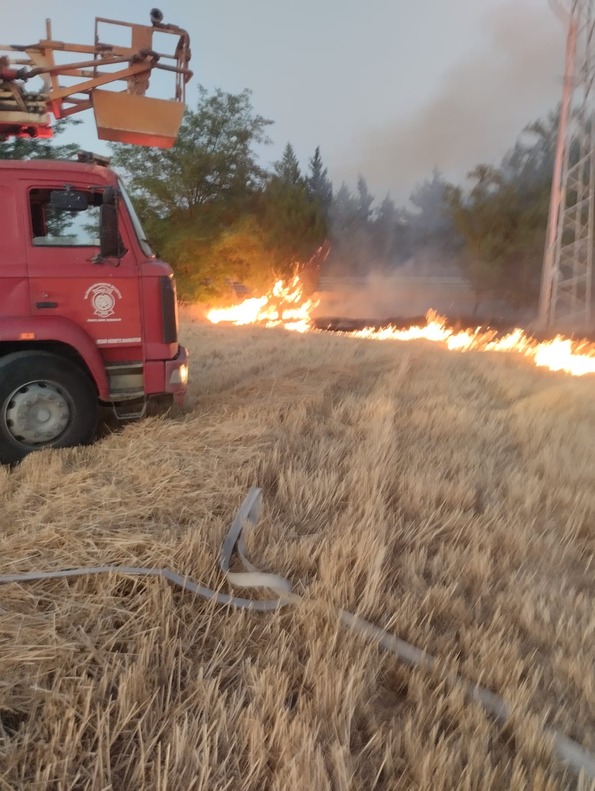 Balıkesir Yangın2