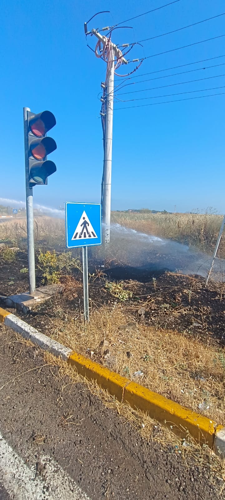 08C22Ad8 5D69 49D7 9D61 C8D635B50Bbc