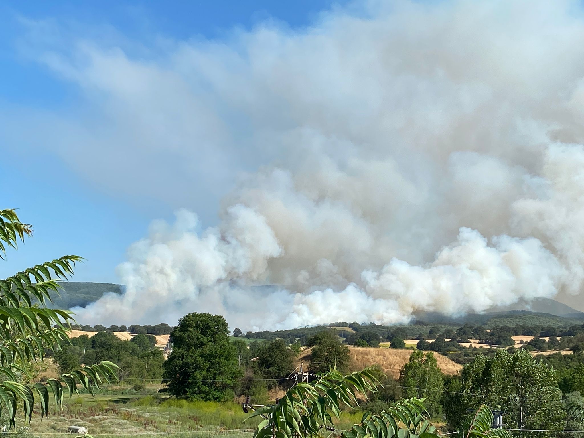 A A 20250720 38611916 38611914 B I L E C I K T E A N I Z D A B A S L A Y I P O R M A N A S I C R A Y A N Y A N G I N A M U D A H A L E E D I L I Y O R