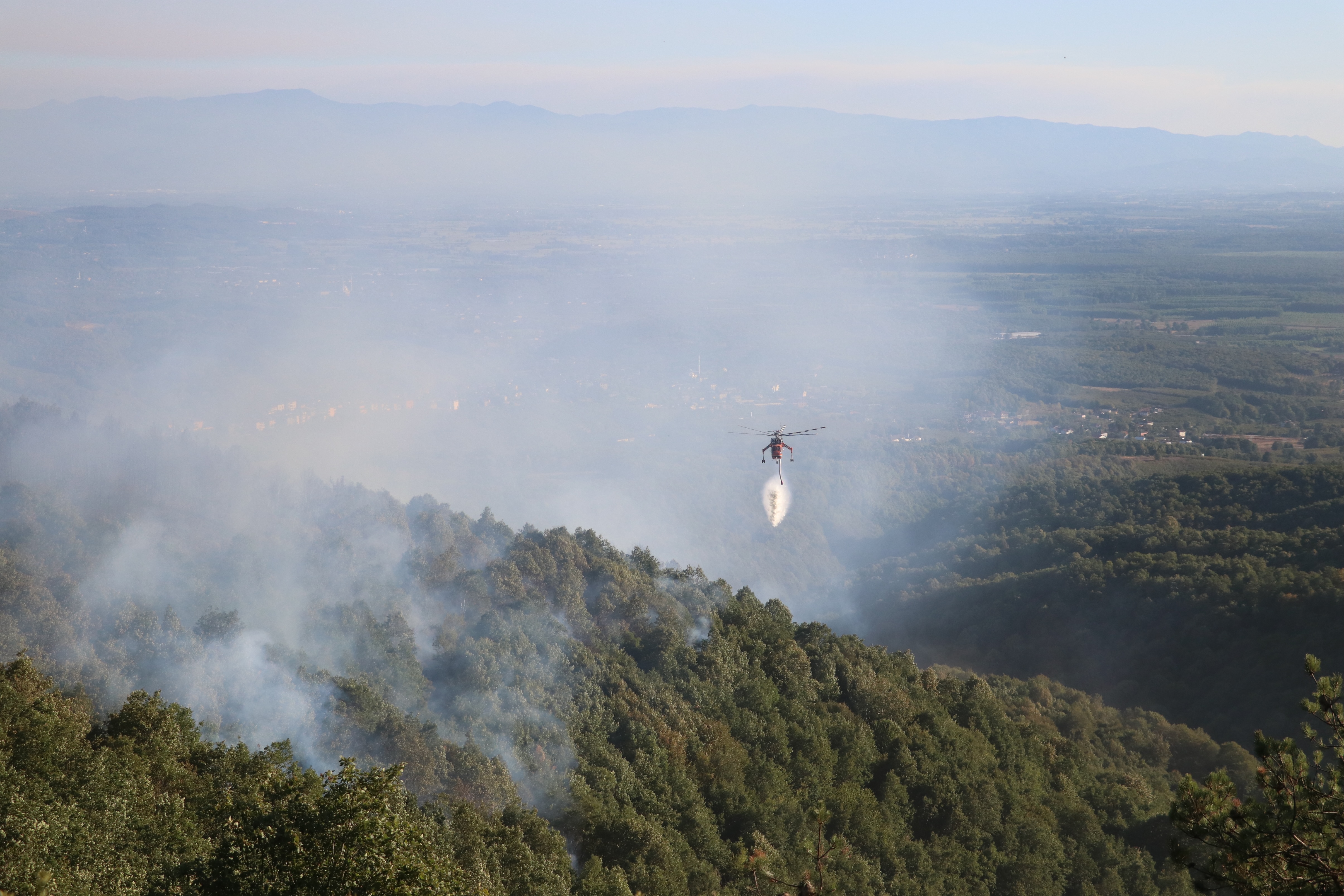 A A 20250722 38631059 38631047 S A K A R Y A D A C I K A N O R M A N Y A N G I N I N A M U D A H A L E E D I L I Y O R