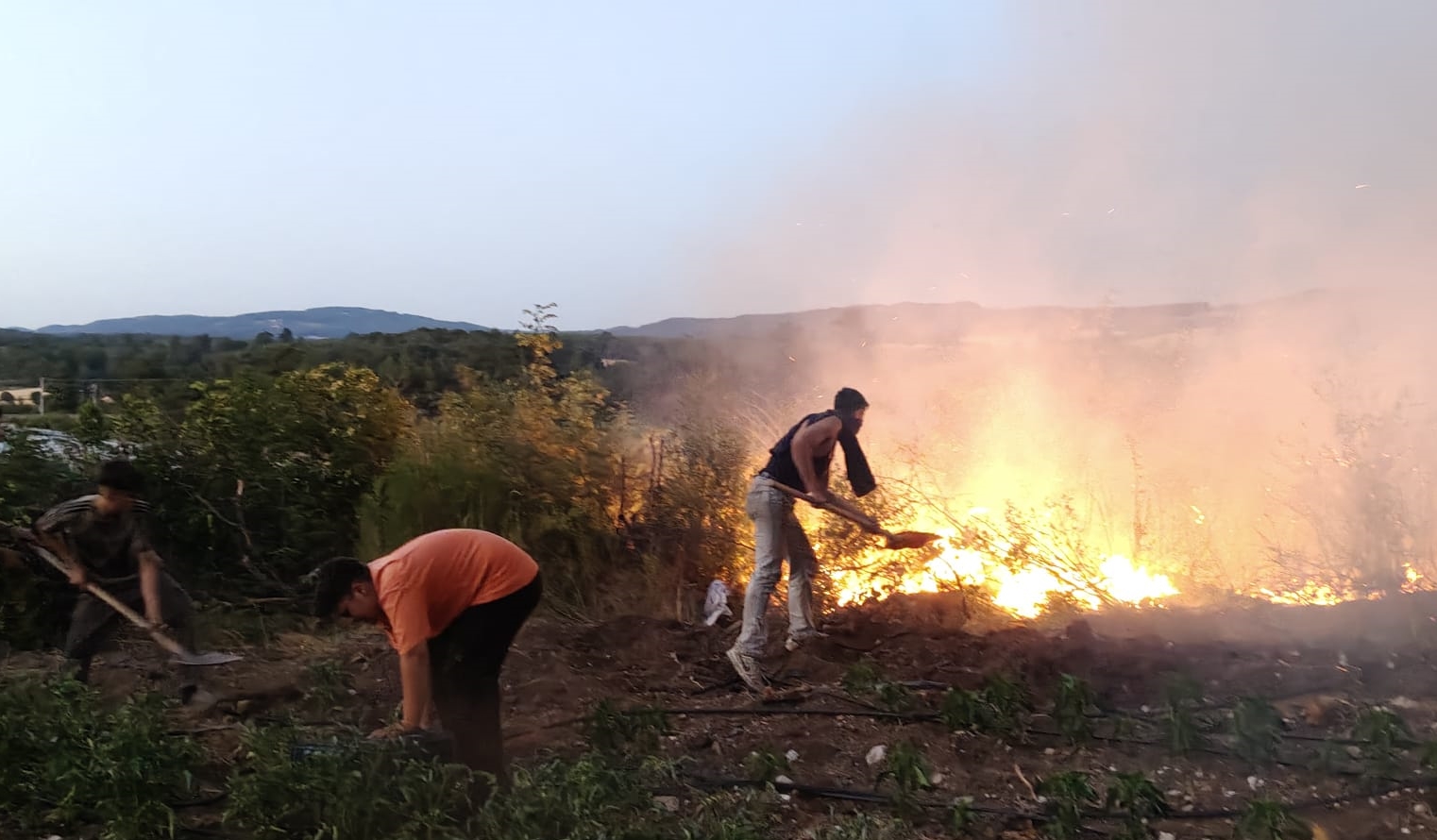 Aa 20250725 38664455 38664452 Balikesirde Tavuk Ciftliginde Baslayan Yangin Ormanlik Alana Sicradi (1)