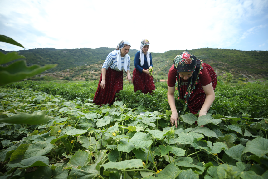 Ballıpınar4