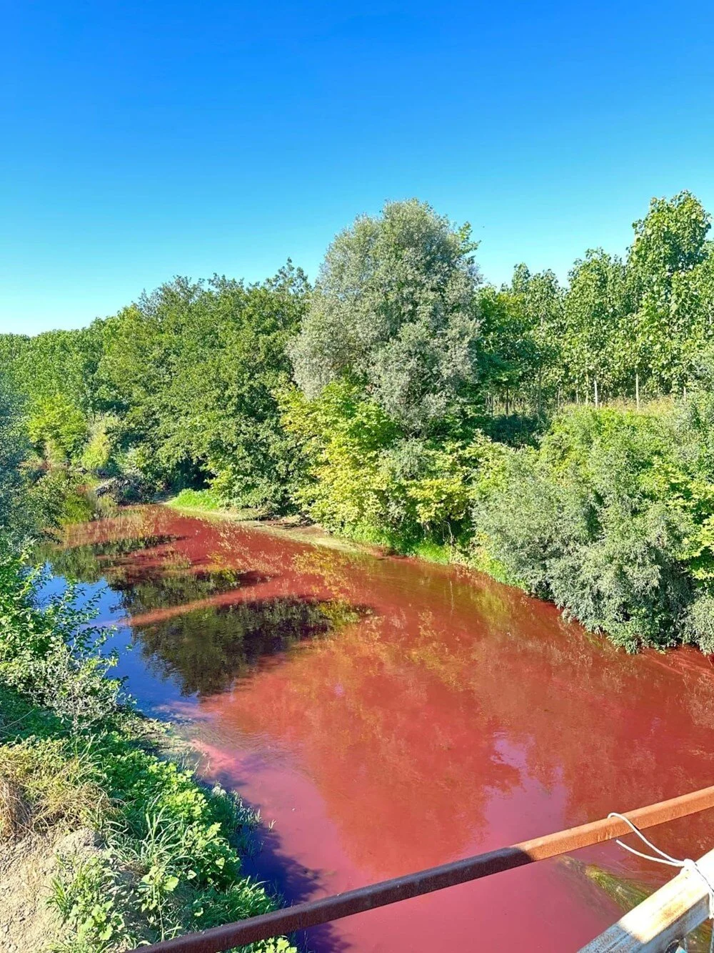 Mudurnu Çayı 1