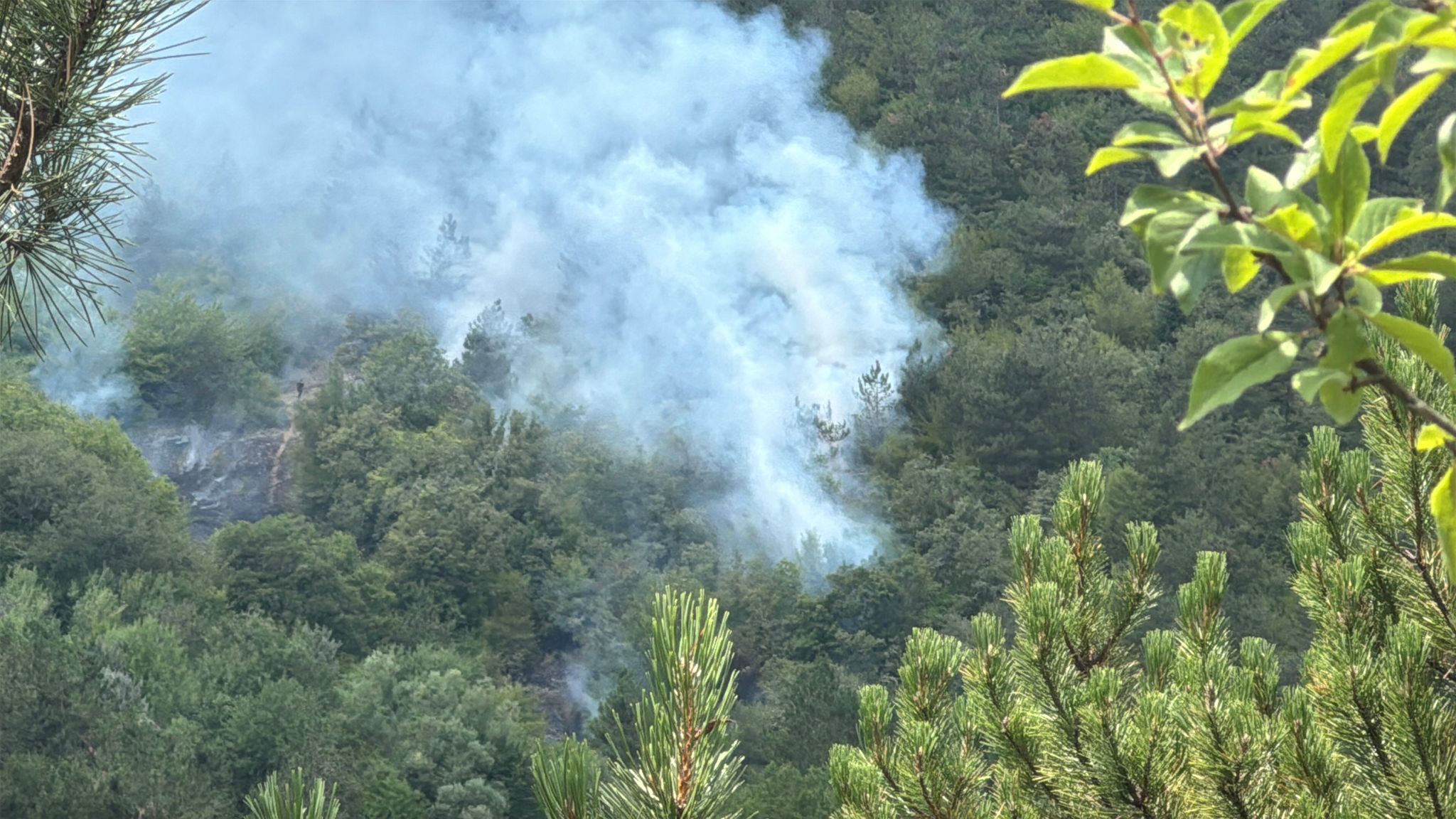 A A 20250807 38766238 38766236 B O L U D A O R M A N L I K A L A N D A C I K A N Y A N G I N A M U D A H A L E E D I L I Y O R-1