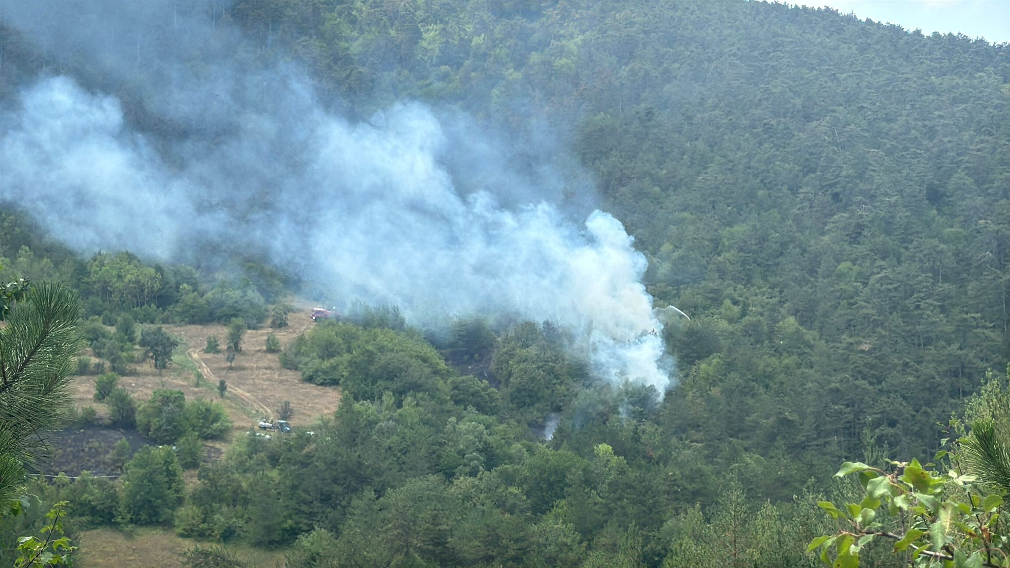 A A 20250807 38766238 38766237 B O L U D A O R M A N L I K A L A N D A C I K A N Y A N G I N A M U D A H A L E E D I L I Y O R-1