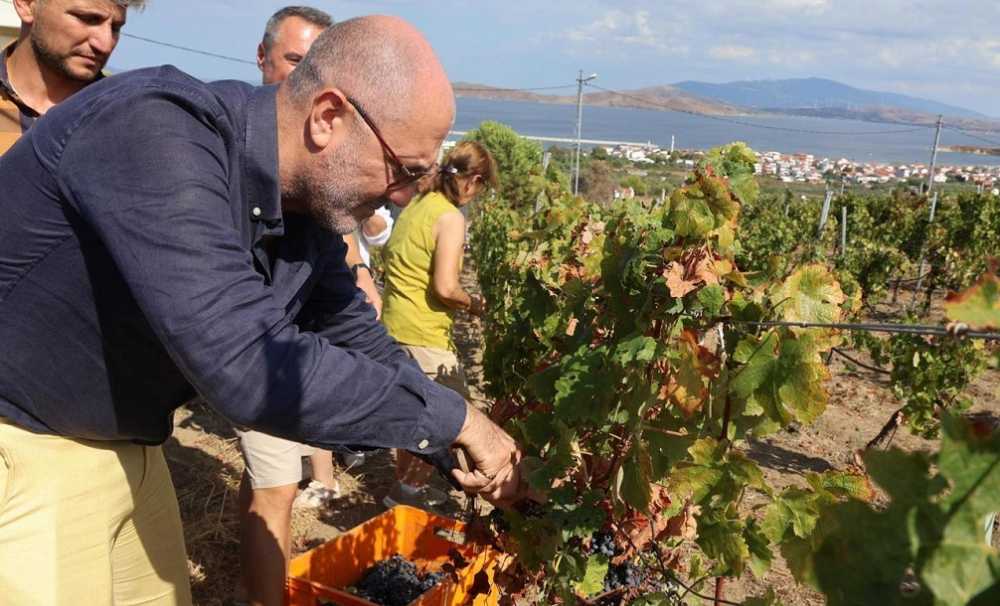 67 Eylulde Bir Baskadir Avsa Etkinliginin Programi Aciklandi 68B740F32B93E