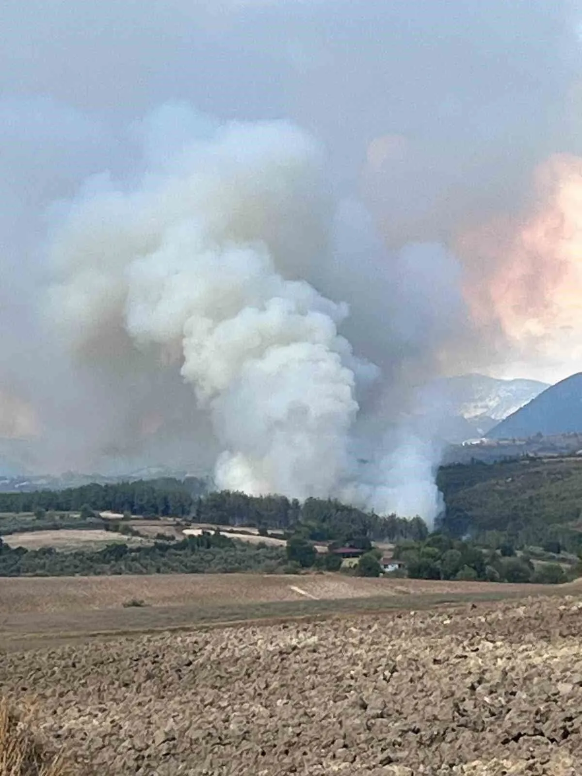 Osmaniye Yangın