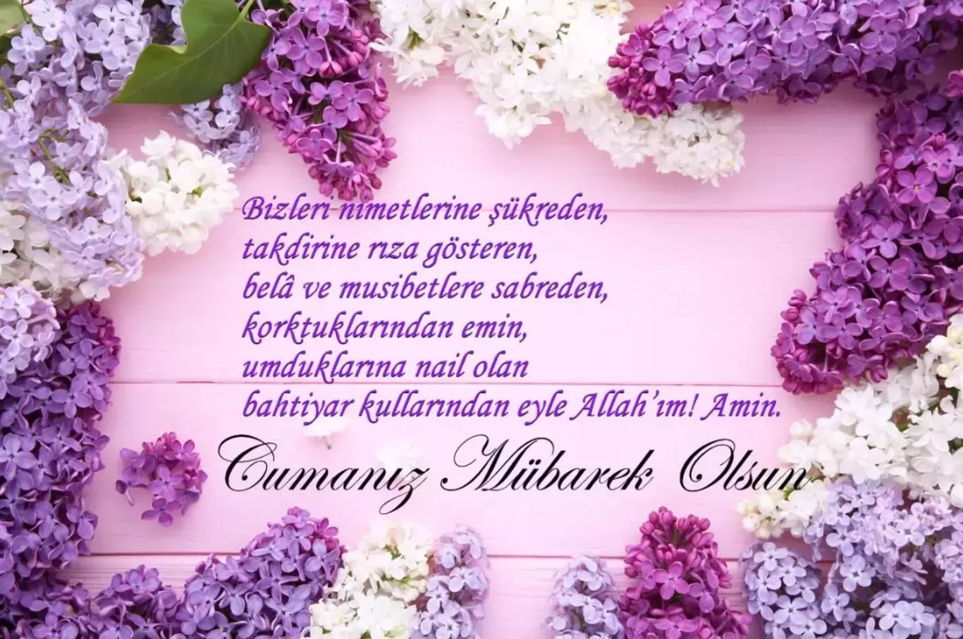 658Db3172D16Abe7D9D16Ac0