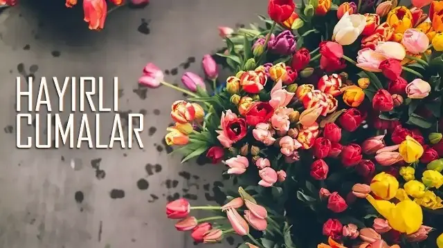 82B1097F Zedtql8Elhgvglcvhpxsu