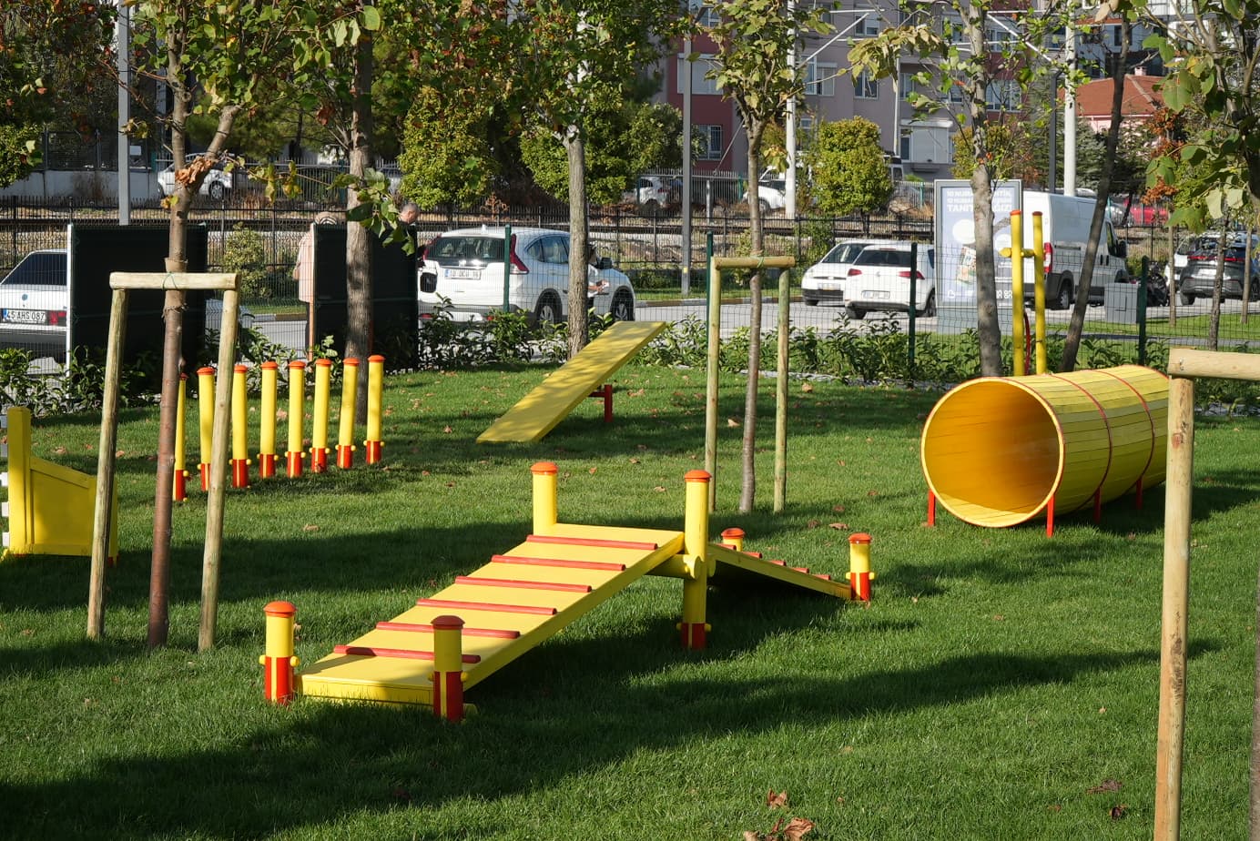 Ahmet Akin Can Dostlari Pati Park Ile Bulusturdu 1