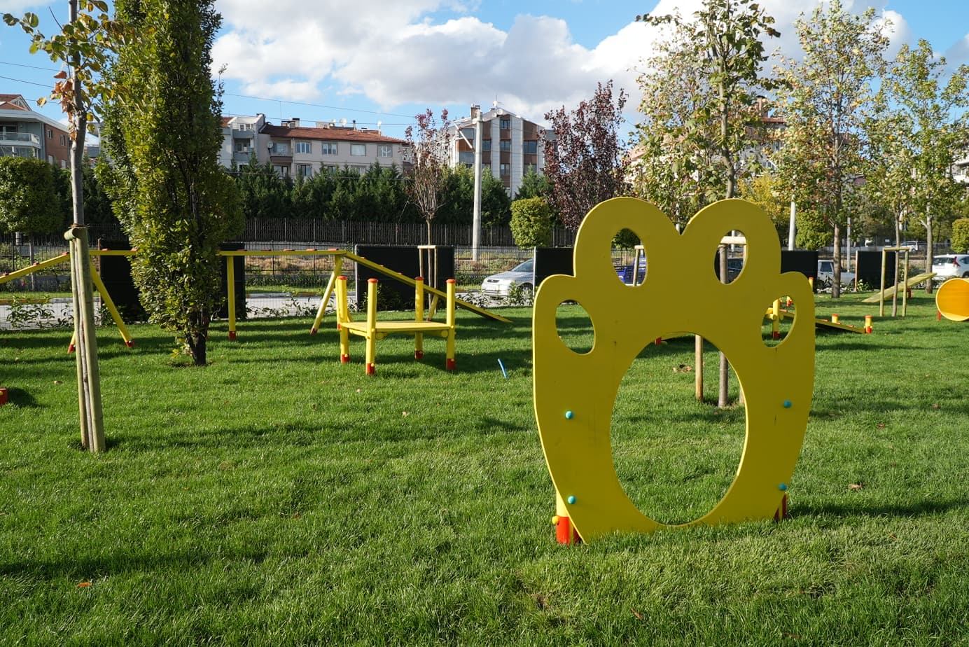 Ahmet Akin Can Dostlari Pati Park Ile Bulusturdu 5