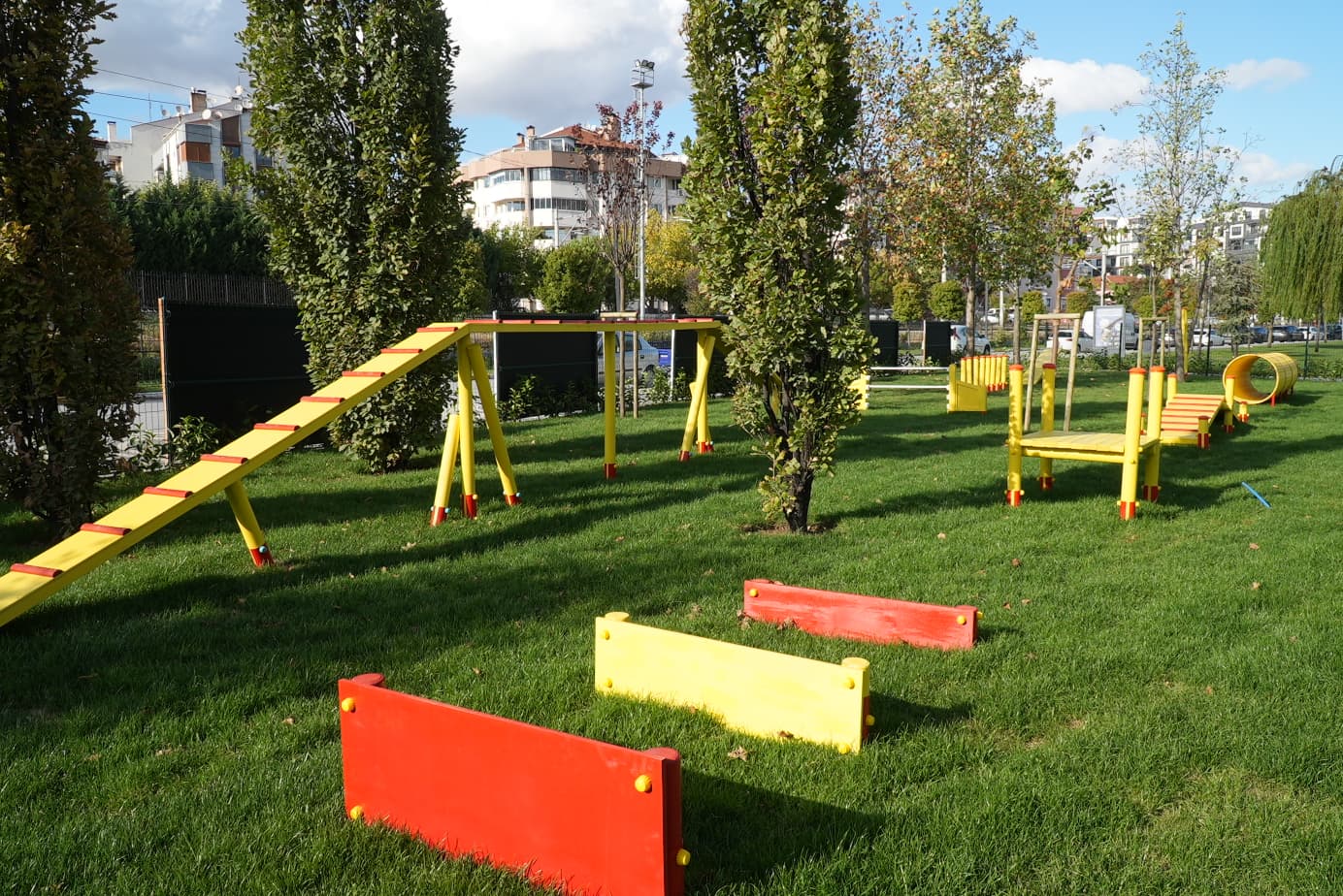 Ahmet Akin Can Dostlari Pati Park Ile Bulusturdu 9