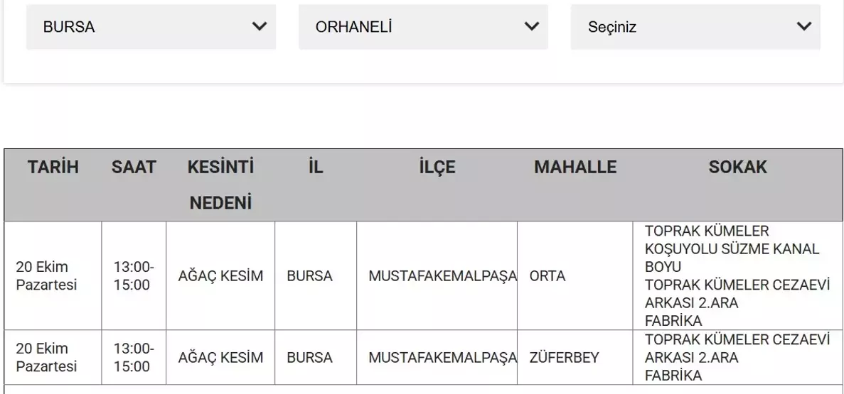 Bursaelektrik