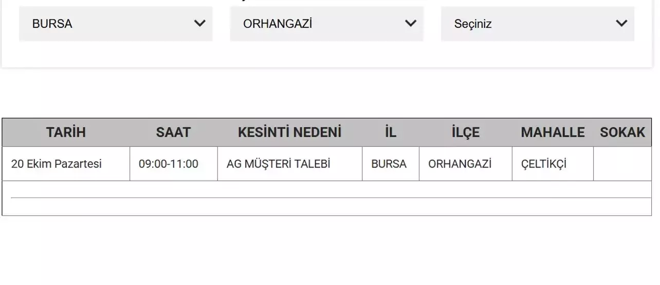 Bursaelektrik1