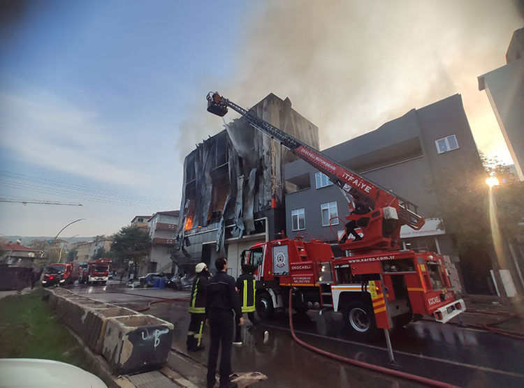 02.06 13 3 New Folder New Folder 20251108 2 71558239 118963916