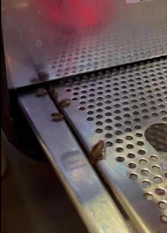 1D83D6Dc 21E9 40D3 A950 C33Bc0A9Fc3B