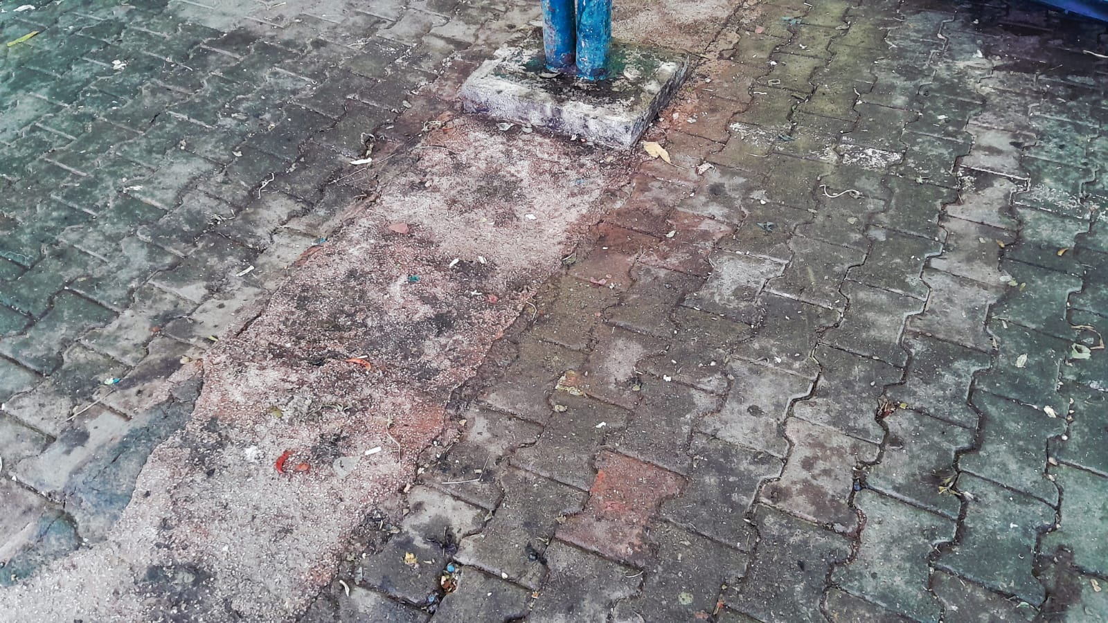 22B5E3B3 6112 41C5 9553 F20188Fa94De