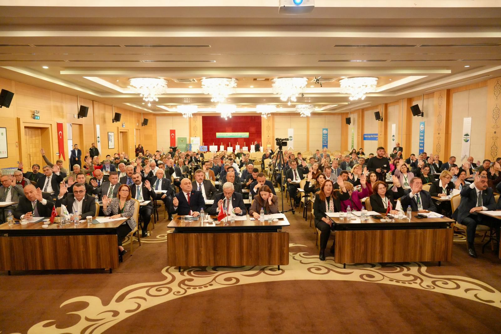 4343F797 7Efa 4012 867D 7999F29028B8