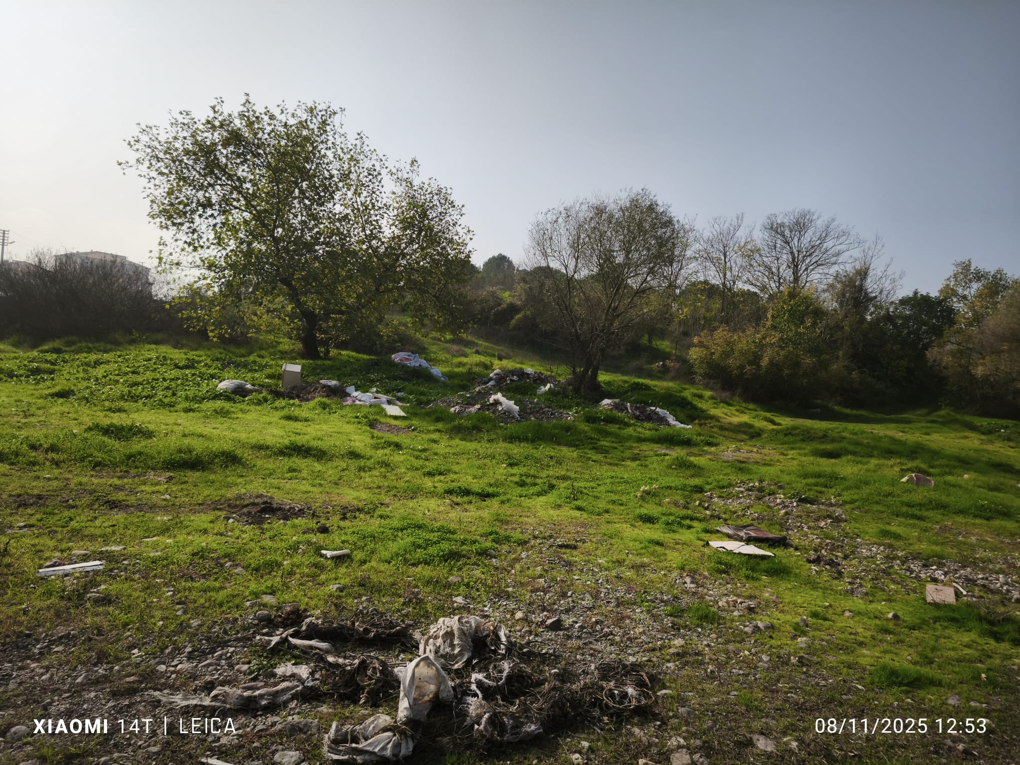 462Fb97B 2A69 49Dc 81C9 623D42F11Ac2