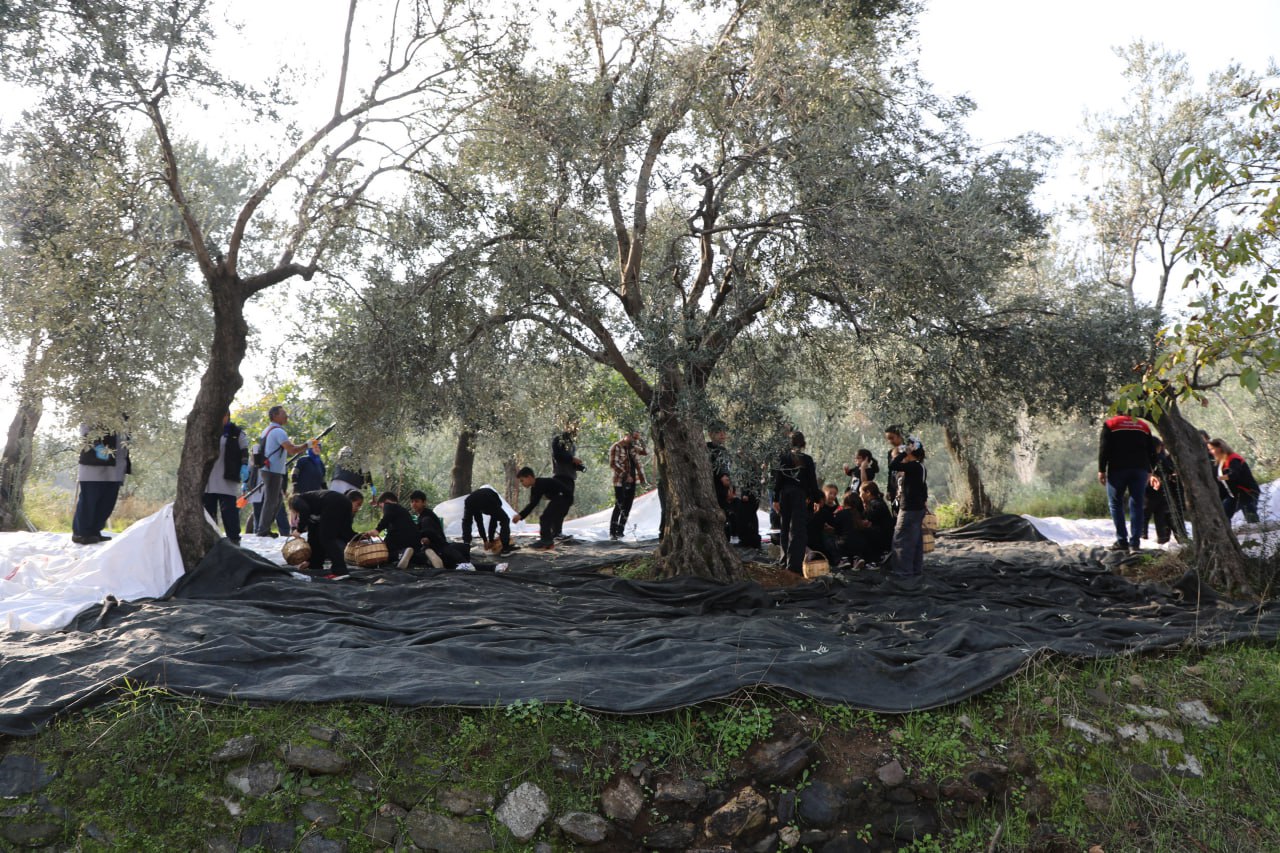 560523812 840954424962251 8716840483060945979 N