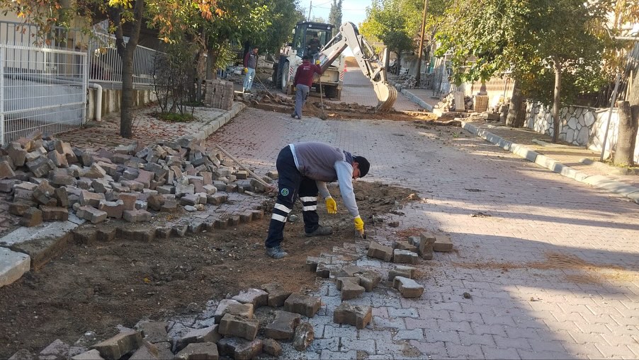 573108721 18495864094079512 4806566193956563060 N