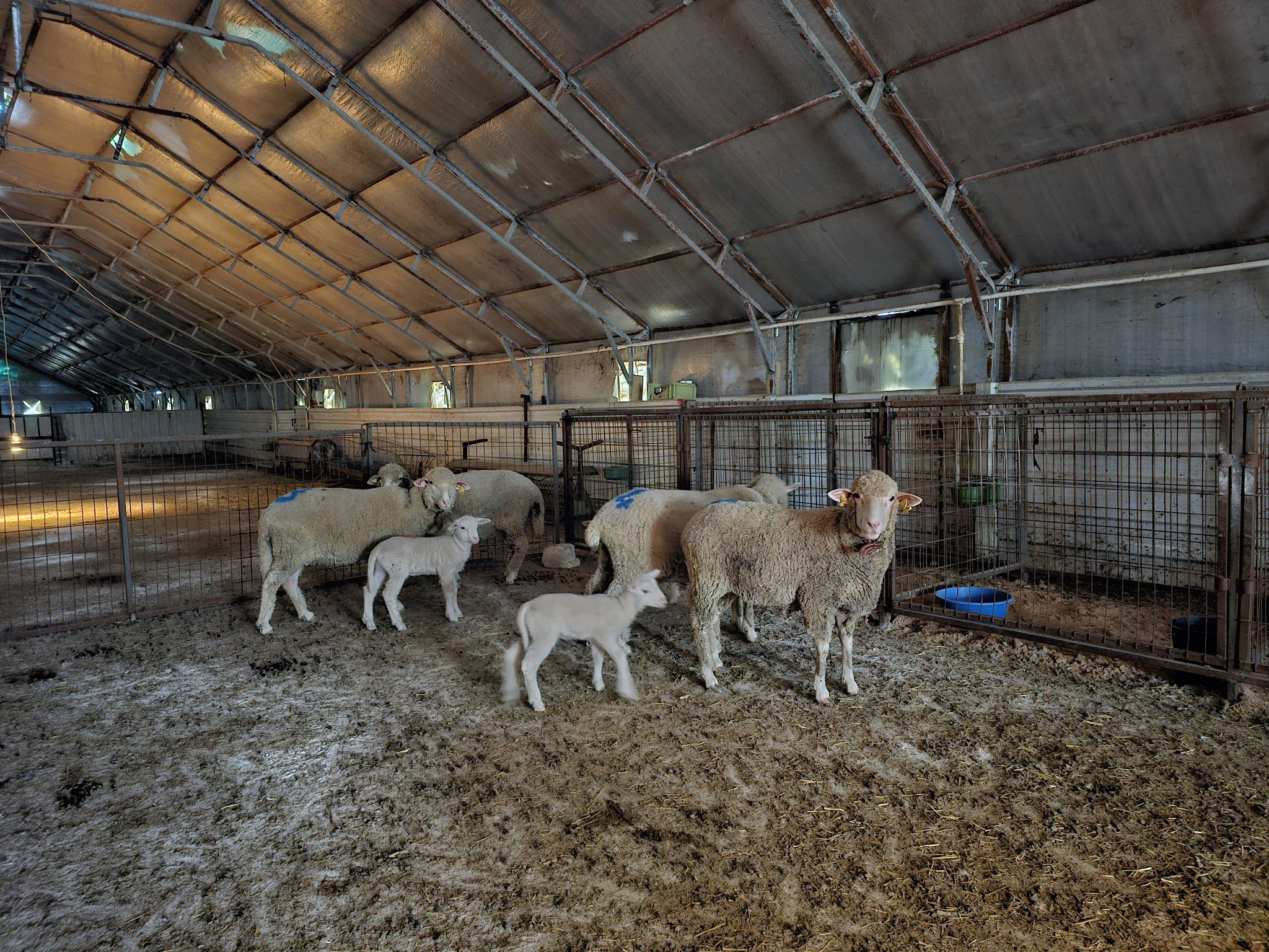 574260596 1149144107418585 3760273712929895827 N