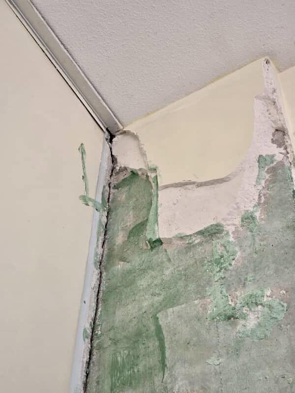 574565581 1488747706586825 3549678330414383116 N