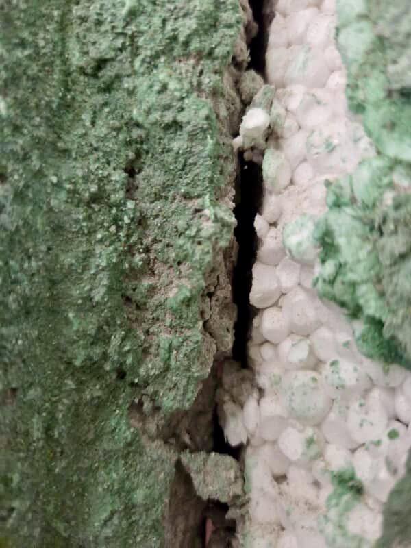 574582405 1488747823253480 3348878112817509296 N