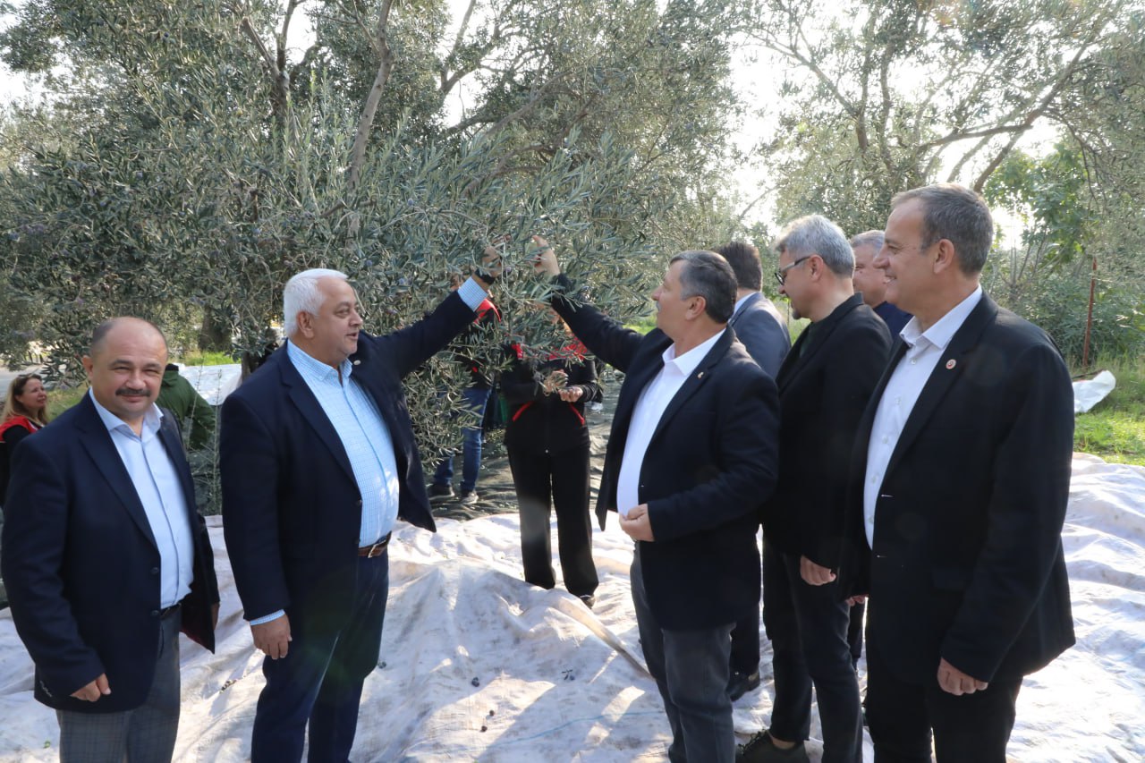 575170194 840954278295599 2581193506087905605 N