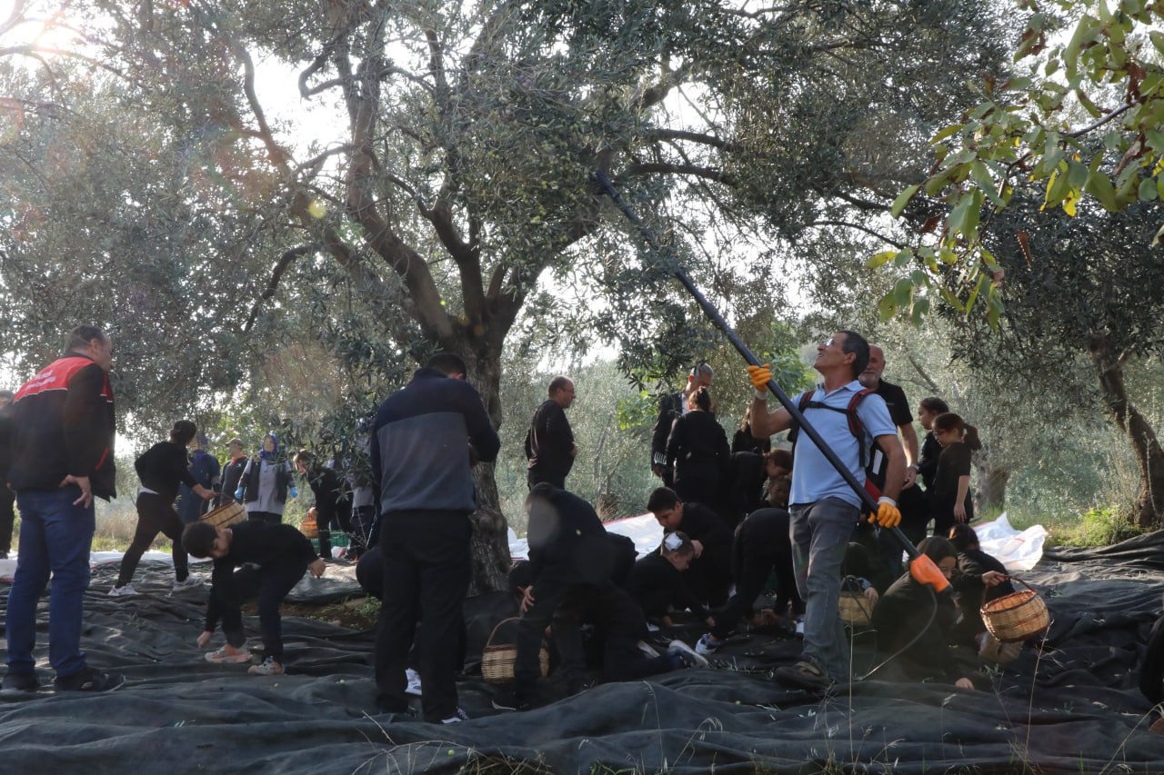 576275542 840954298295597 257780081574043509 N