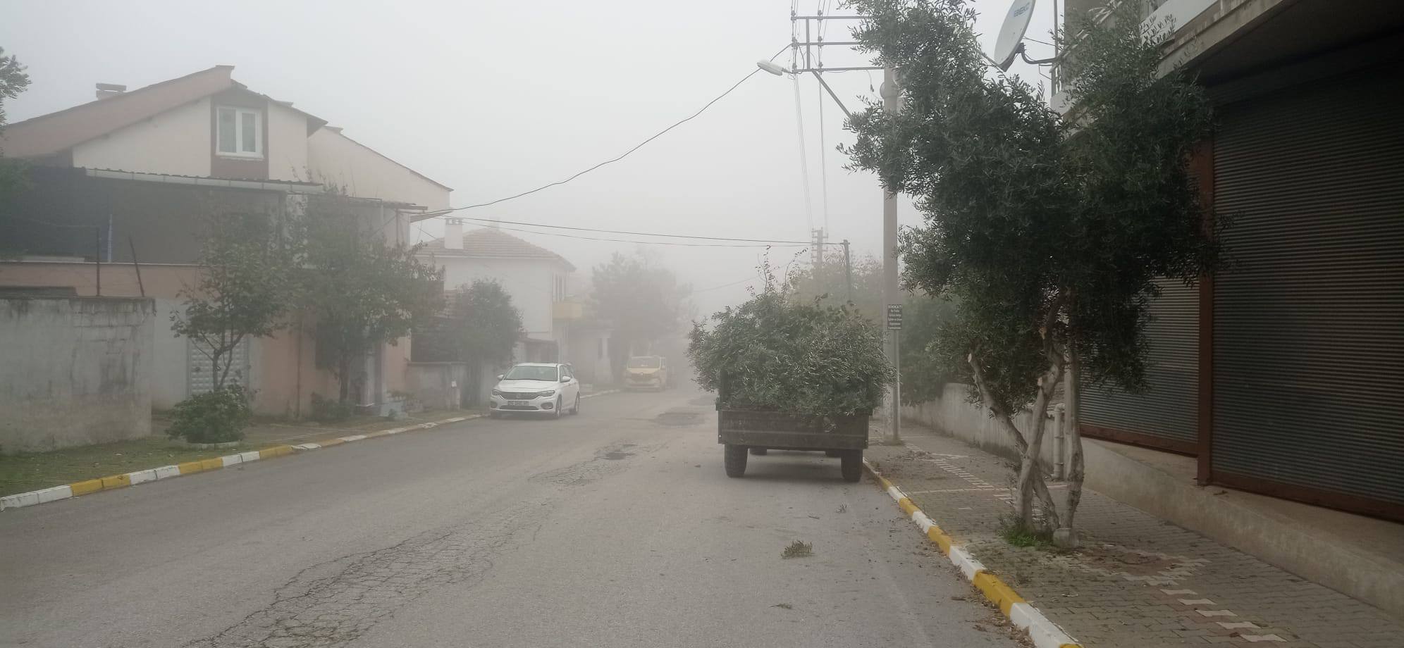 576287538 1149136814085981 1963654376558654908 N