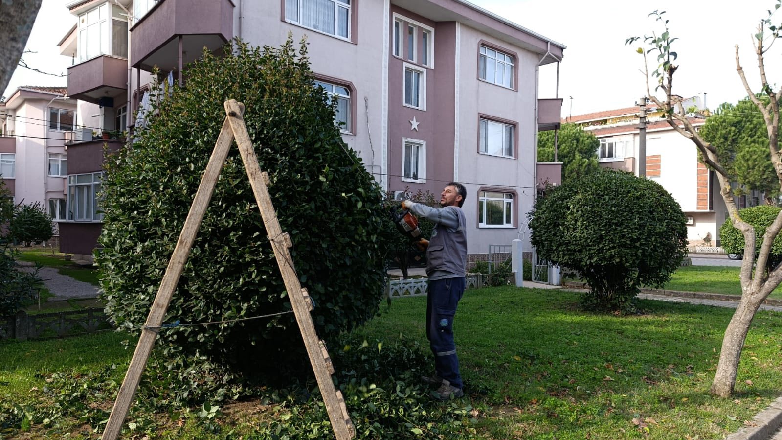 576637149 1278829877620380 1577927791097549922 N