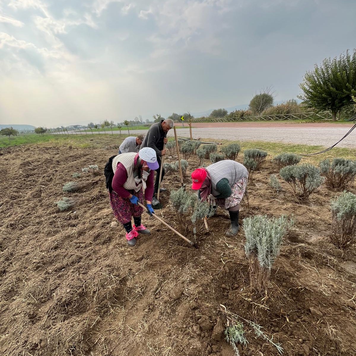 578261036 122218150004300867 3656360372762112882 N