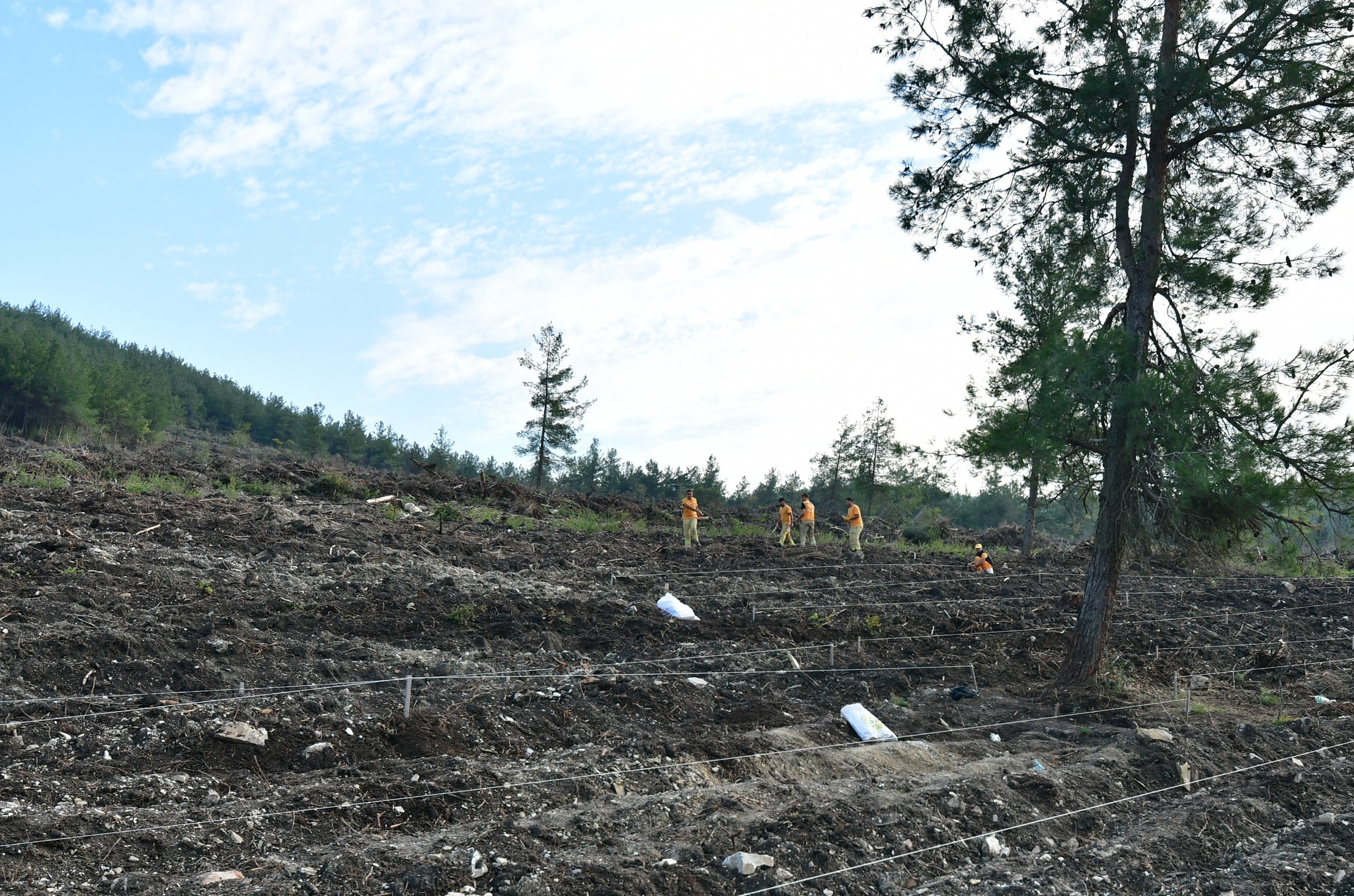 579050806 1289049816596687 2903769193269322644 N