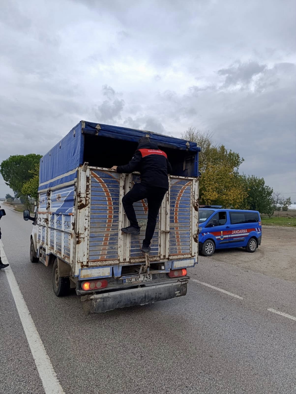 579108158 1237334141770779 3643310394891737195 N