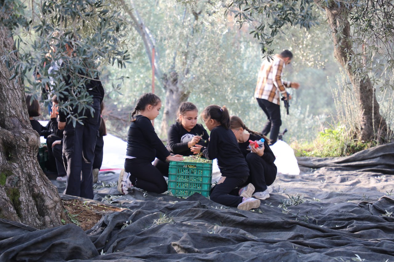 579117098 840954151628945 655882157141387199 N