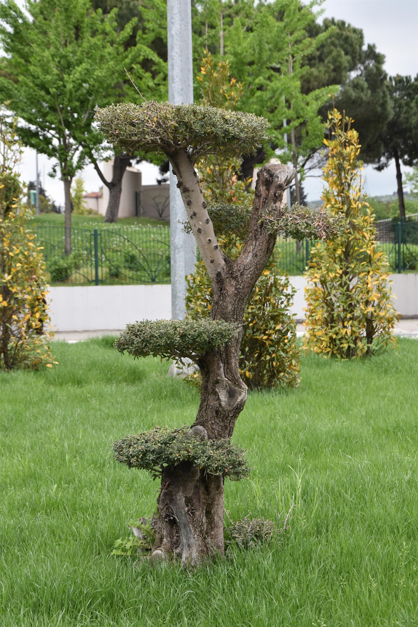 579467478 1366346774847340 8964731541997780911 N