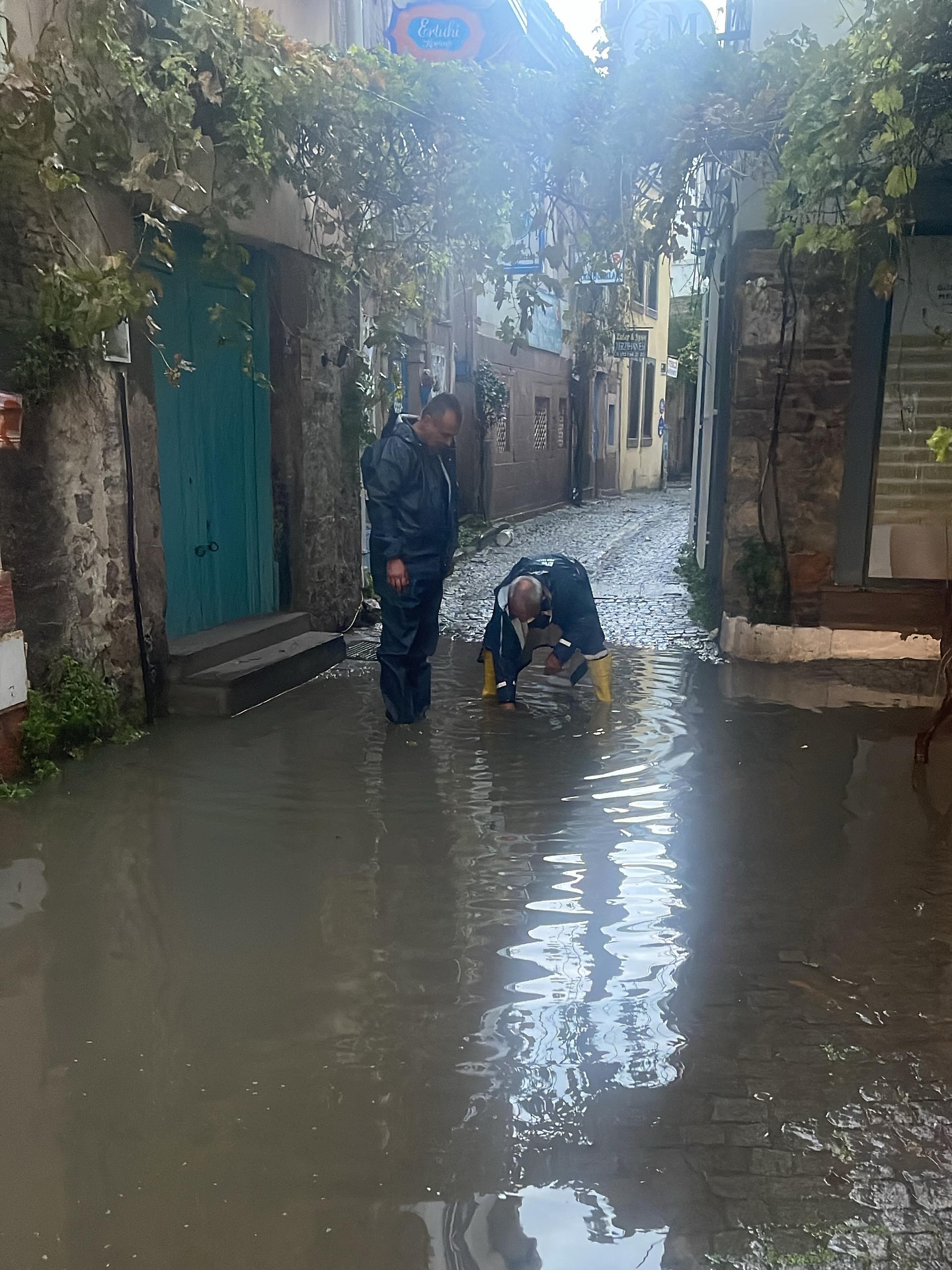 579717251 18512212240064151 4131832732008097452 N